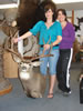 Matts Deer 111