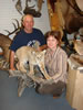 Wyatt Bobcat 003