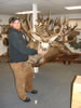 Deer Pictures 004