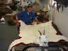 Elk Capes 015