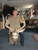 Lot Of Coyote Skulls 001