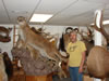 Picture, Todds Lion 015
