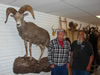 Pictures, Bear Skull 002