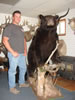 Pictures, Bear Skull 010