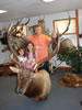 Pictures, Dall Sheep 008