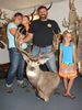 Pictures, Dall Sheep 014