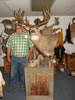 Pictures, Wt Cape 013